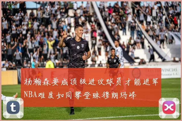 杨瀚森要成顶级进攻球员才能进军NBA难度如同攀登珠穆朗玛峰