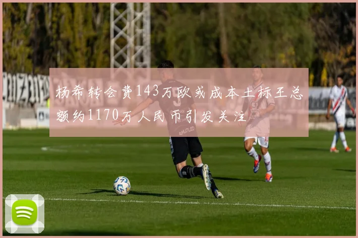 杨希转会费143万欧或成本土标王总额约1170万人民币引发关注