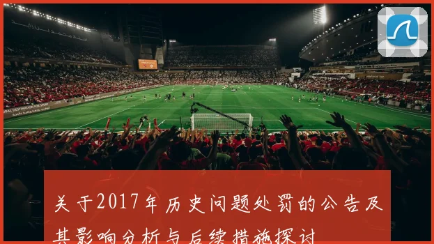 关于2017年历史问题处罚的公告及其影响分析与后续措施探讨